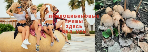 а пвп мука Алексеевка