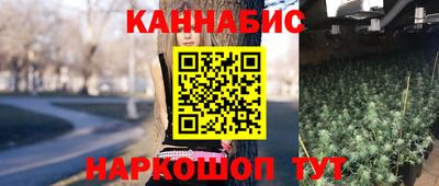 крисы Малгобек