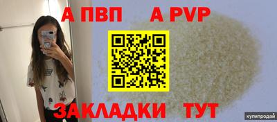 крисы Малгобек