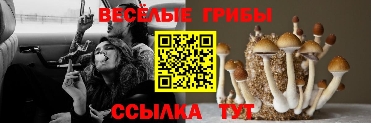 Кондопога  Псилоцибиновые грибы GOLDEN TEACHER  Вход с VPN 